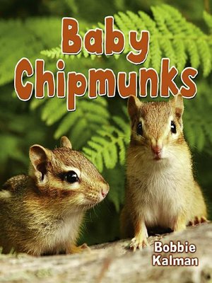cover image of Baby Chipmunks